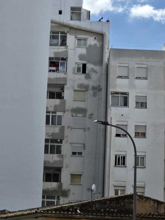 Femenias 2 Durante 4