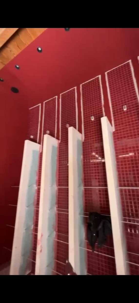 Imagen De Whatsapp 2025 11 19 A Las 100225 B7f4af7d