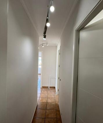 Imagen De Whatsapp 2025 11 24 A Las 150210 D44d9bcf 2