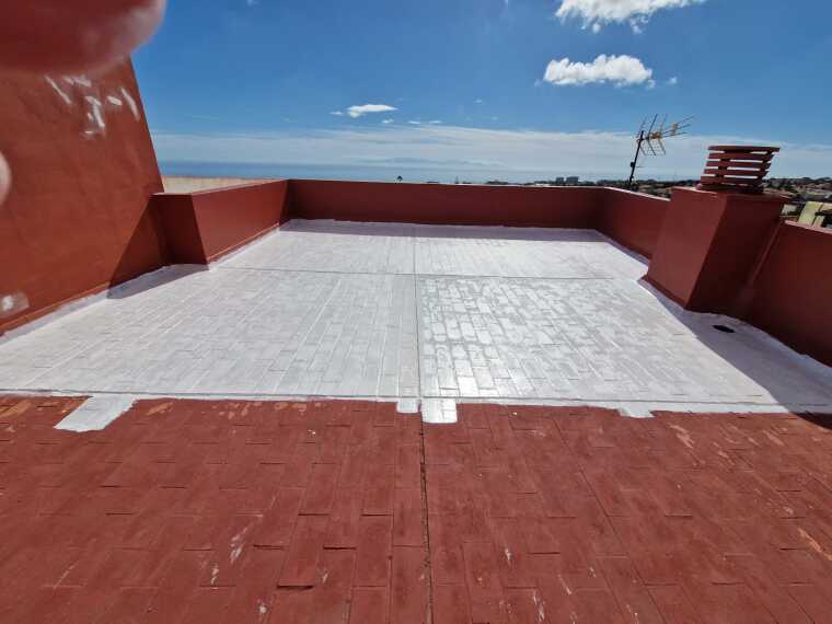 Imagen De Whatsapp 2025 11 24 A Las 153302 Ee0533a6