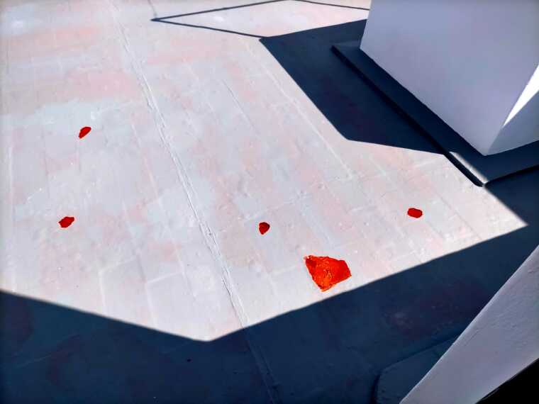 Imagen De Whatsapp 2025 11 25 A Las 085758 8c533827