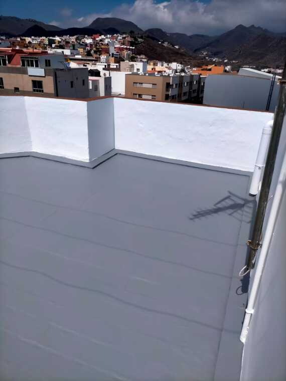 Imagen De Whatsapp 2025 11 25 A Las 085817 07853ebe