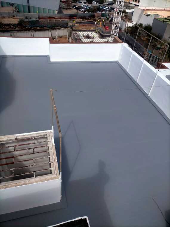 Imagen De Whatsapp 2025 11 25 A Las 085817 B3cf279e