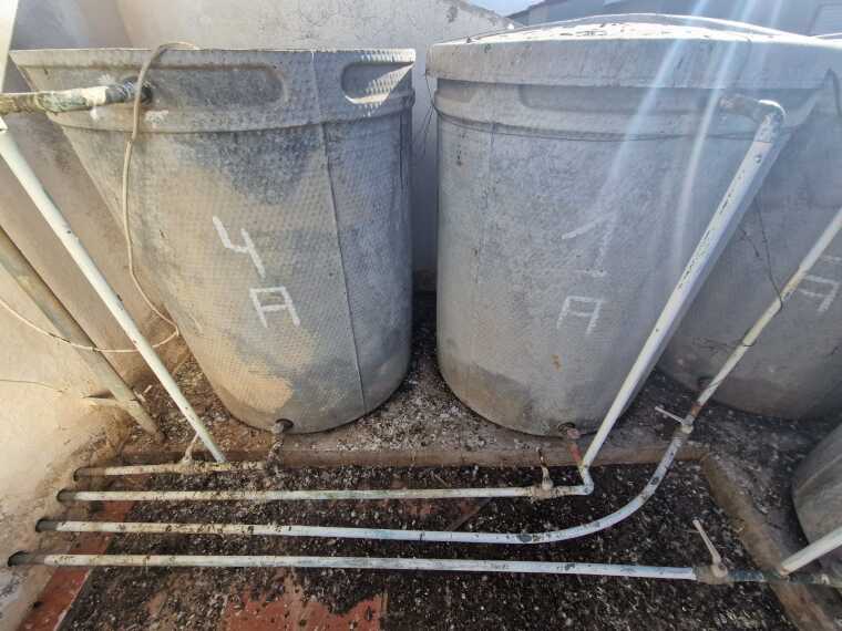 Whatsapp Image 2025 12 02 At 102547