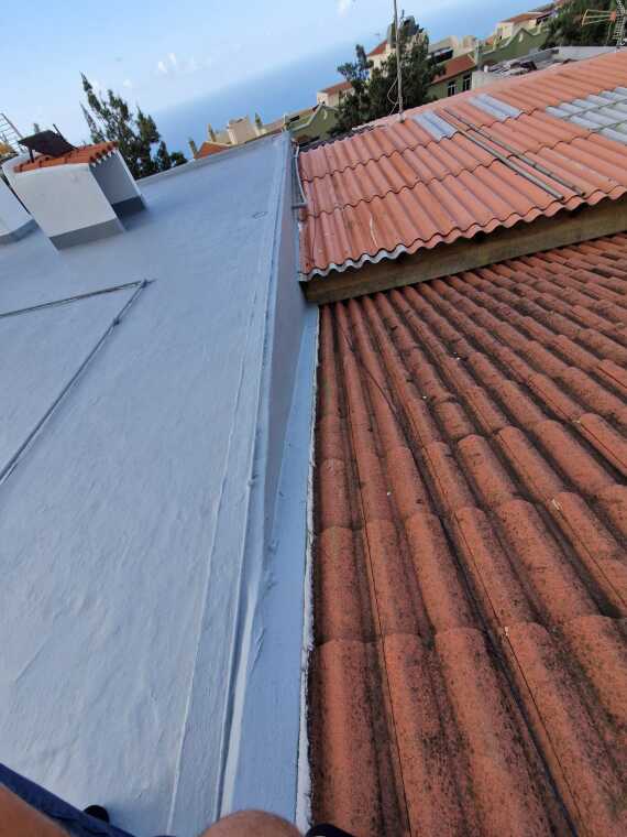 99d81043 9c46 4aad B1df 49d70583fa4b