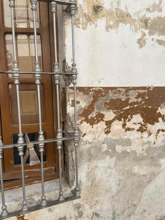 Img 20251209 Wa0039 1