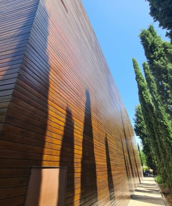 589944385 721718530597372 3580138515373593690 N