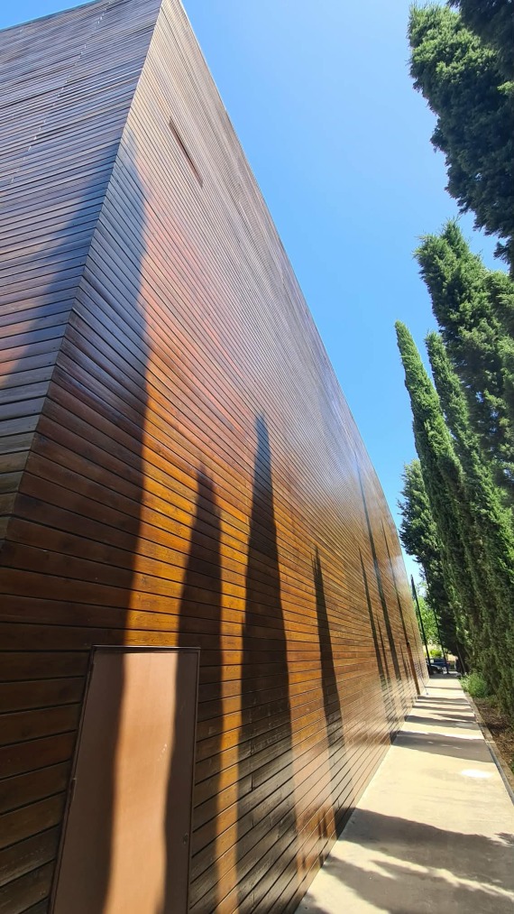 589944385 721718530597372 3580138515373593690 N