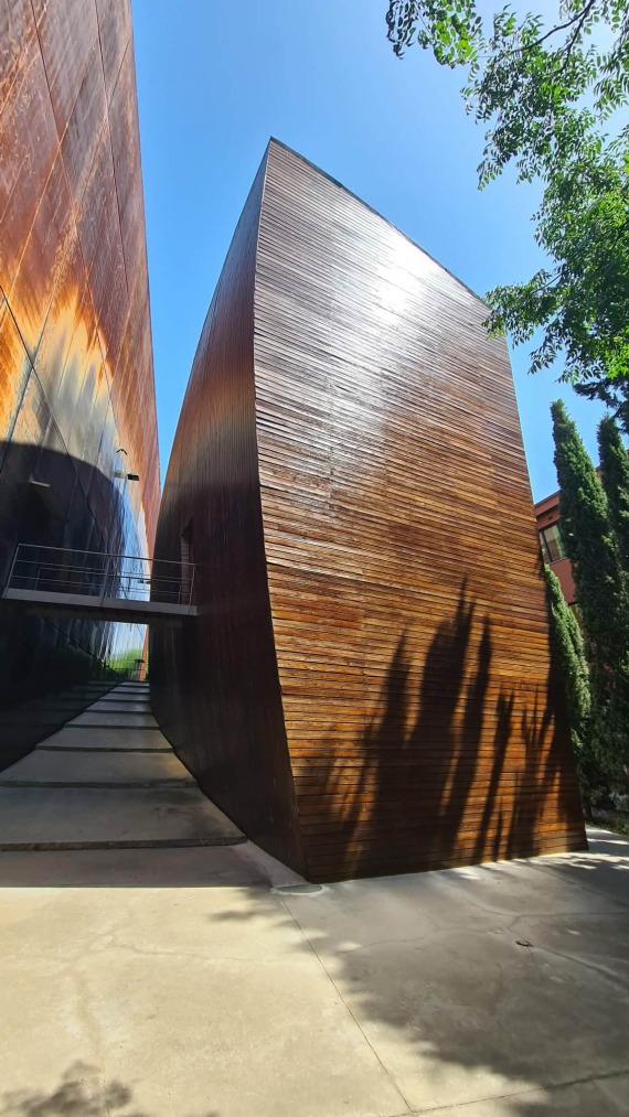 605251096 927907052894243 1538705247288254535 N