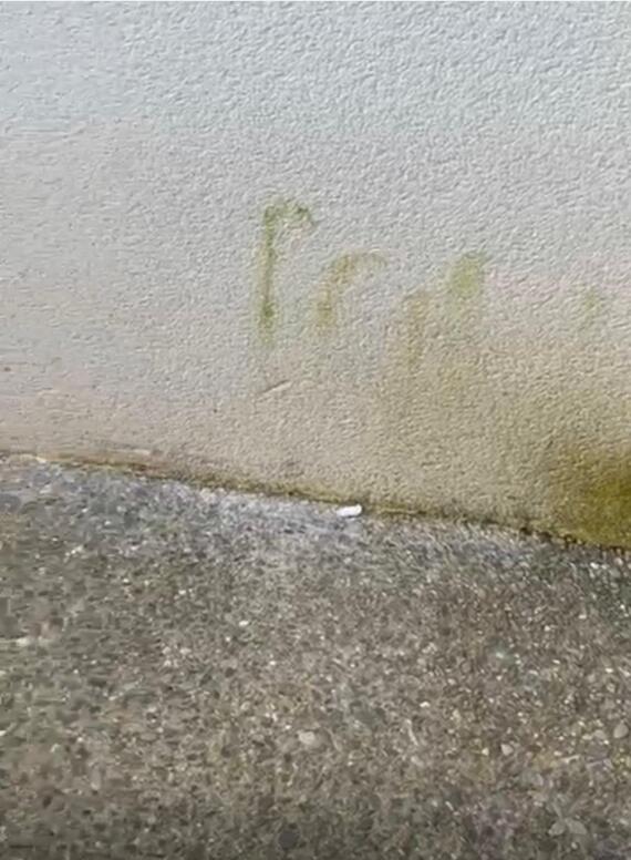 Whatsapp Image 2025 12 30 At 212013 4